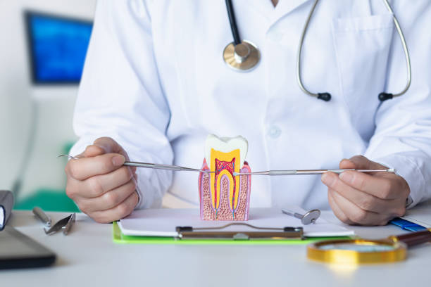 Best Emergency Tooth Extraction in Leonardtown, MD